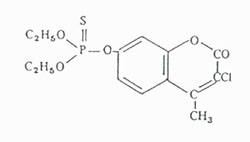 Structure of Co-Ral