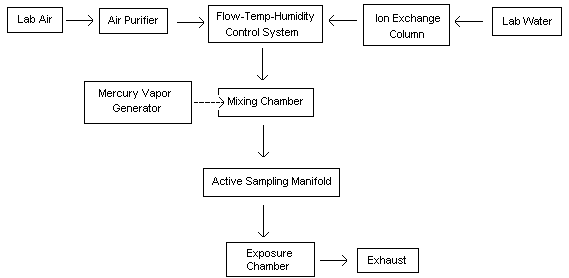 Generation System for Production of Mercury Atmospheres