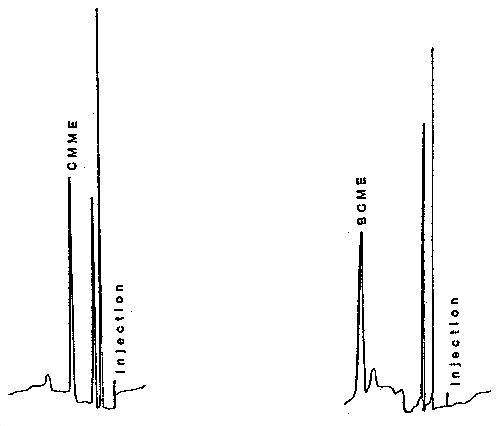 chromatogram