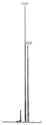 Analysis of TCP in presence of PCP